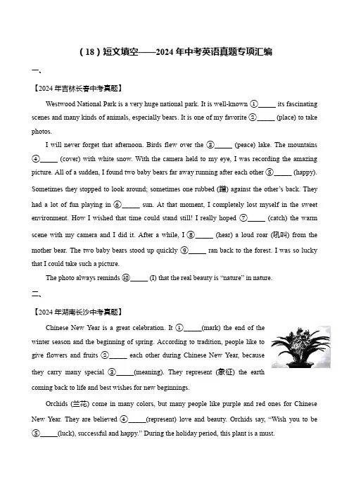 (18)短文填空-2024年中考英语真题专项汇编
