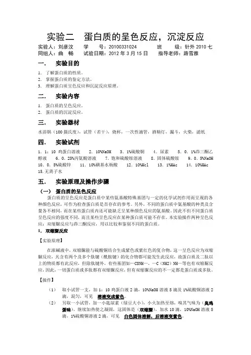 生化实验二报告
