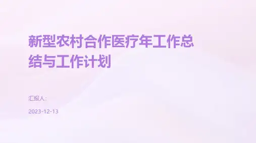 新型农村合作医疗年工作总结与工作计划