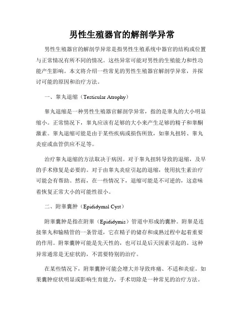 男性生殖器官的解剖学异常