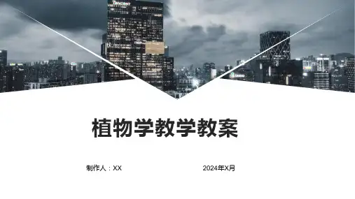 植物学教学教案