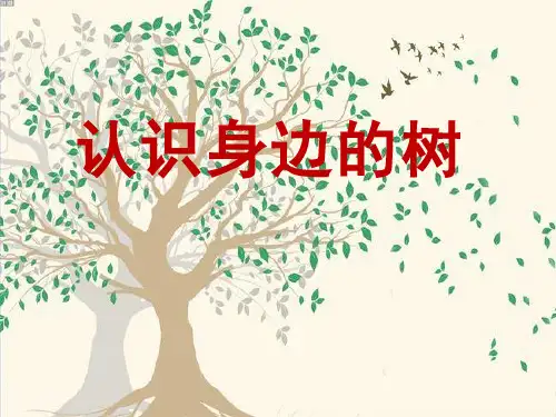 二年级下册美术课件-第3课 认识身边的树 ▏人美版 (共12张PPT)