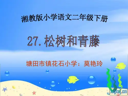 《松树和青藤课件》小学语文湘教版二年级下册3510.ppt