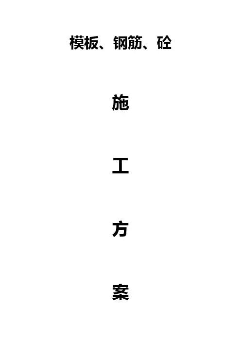 钢筋砼模板施工方案
