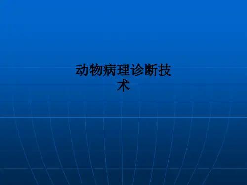 动物病理诊断技术PPT课件
