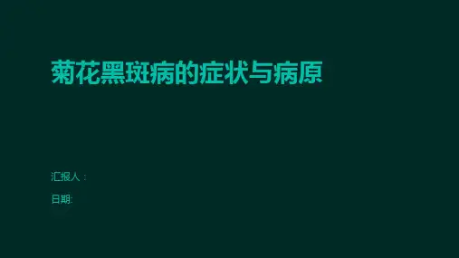 菊花黑斑病的症状与病原