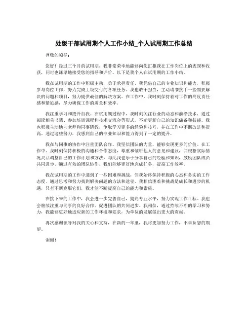 处级干部试用期个人工作小结_个人试用期工作总结 2