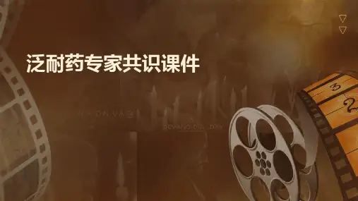 泛耐药专家共识课件