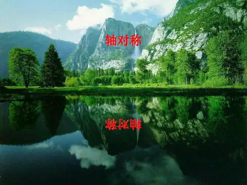 苏教版四年级下册数学课件9.1 轴对称 (共30张PPT)