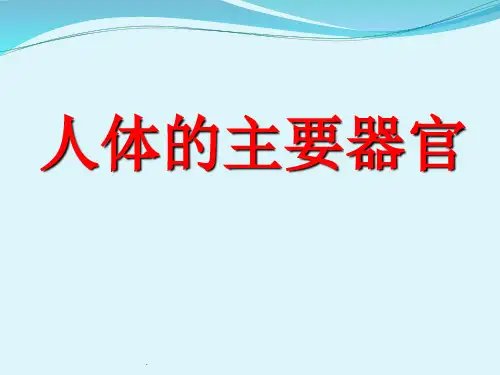 人体的主要器官ppt课件
