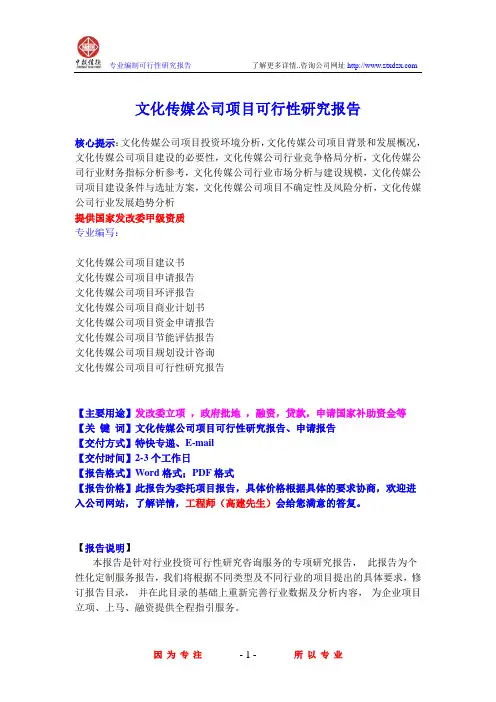 文化传媒公司项目可行性研究报告