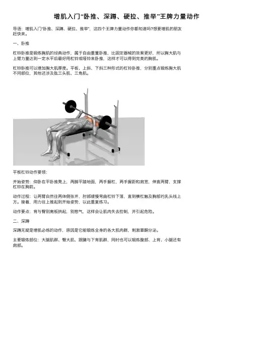 增肌入门“卧推、深蹲、硬拉、推举”王牌力量动作