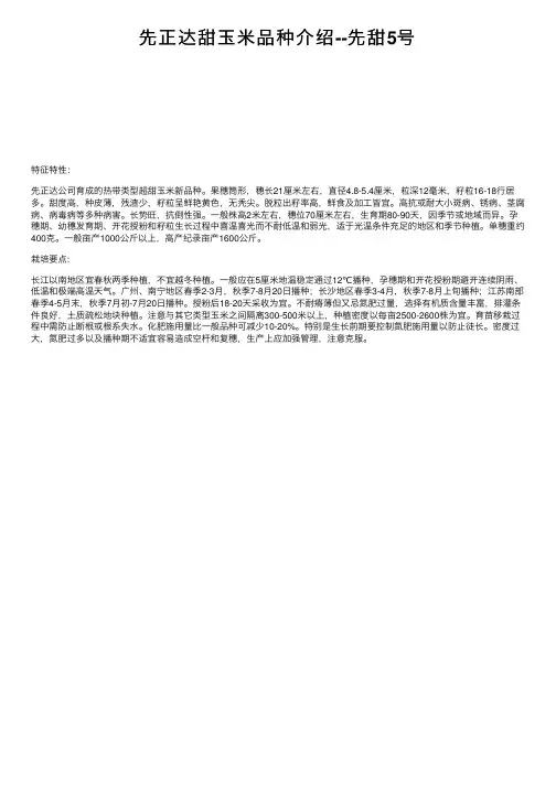 先正达甜玉米品种介绍--先甜5号