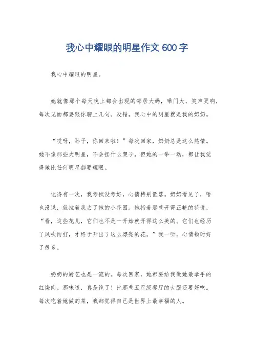 我心中耀眼的明星作文600字