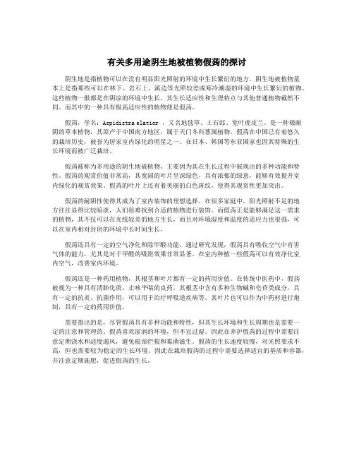 有关多用途阴生地被植物假蒟的探讨