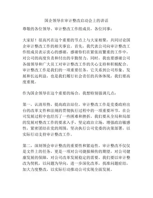 国企领导在审计整改启动会上的讲话