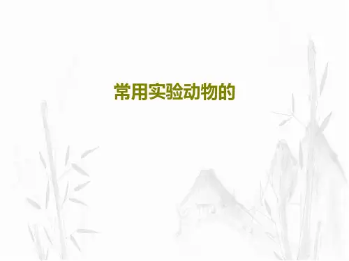 常用实验动物的共136页文档