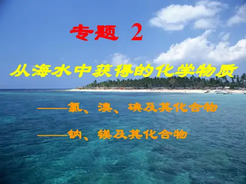 【公开课课件】必修一_氯气生产原理