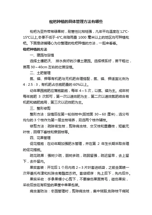枇杷种植的具体管理方法有哪些