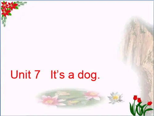 三年级英语上册 Unit 7 it’s a dog课件 湘少版