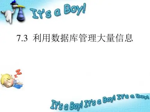 7.3利用数据库管理大量信息(2课时)