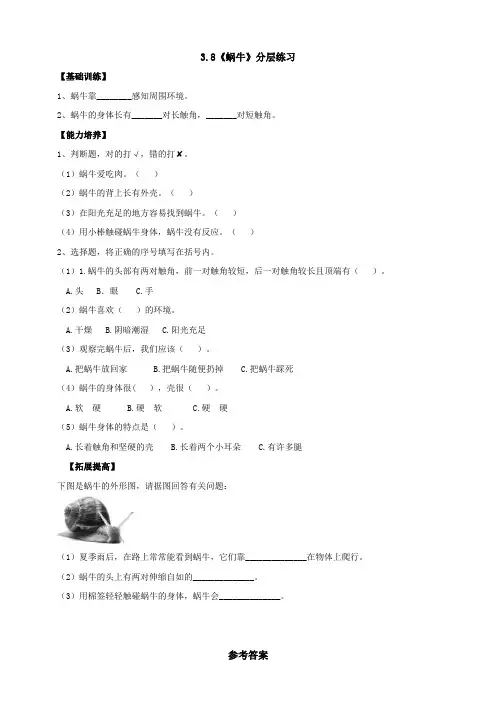 【新课标】3.8《蜗牛》分层练习(含答案)