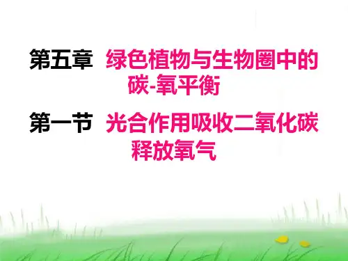 人教部编版初中生物七年级上册教学同步课件PPT 3.5.1光合作用吸收二氧化碳释放氧气