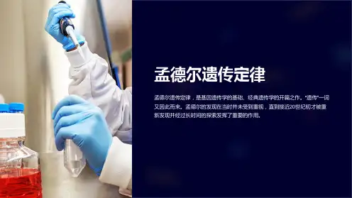 孟德尔遗传定律(共43张)