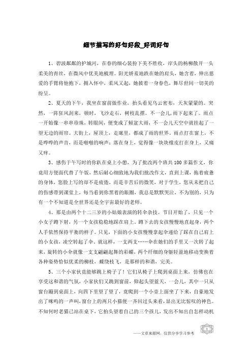 细节描写的好句好段-好词好句