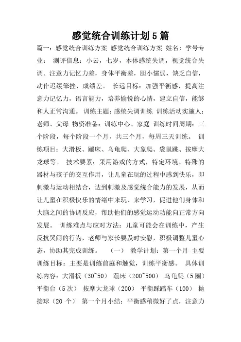 感觉统合训练计划5篇