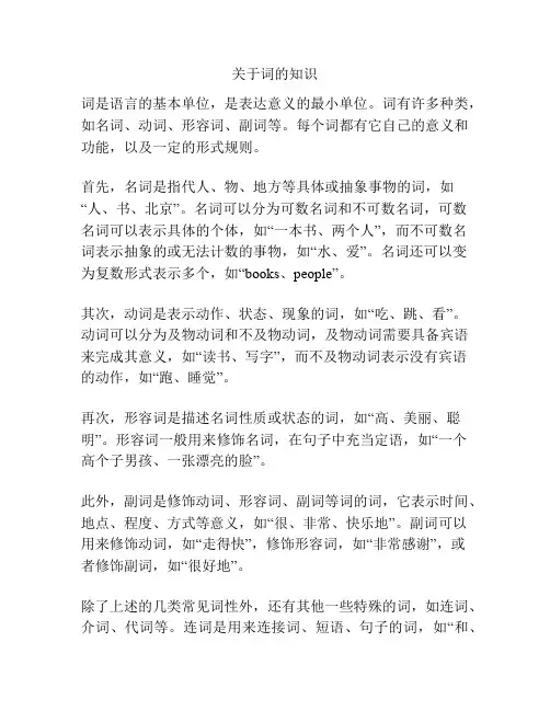关于词的知识