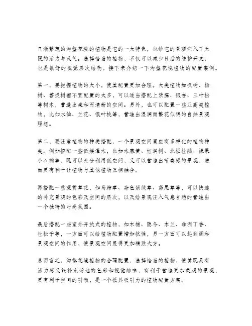 花境植物配置案例30种