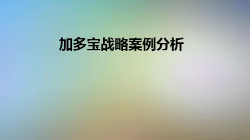 加多宝战略案例分析