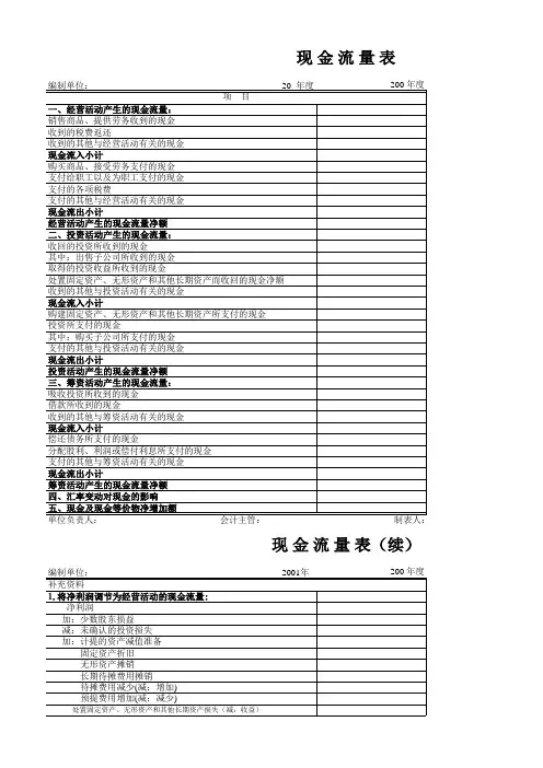 现金流量表模板