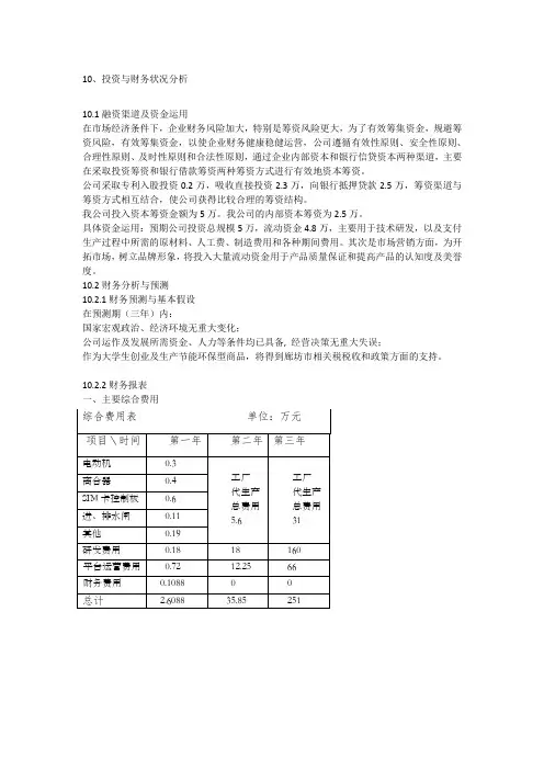 融资与财务状况分析 样表