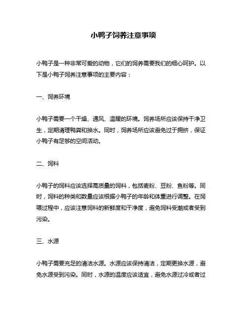小鸭子饲养注意事项