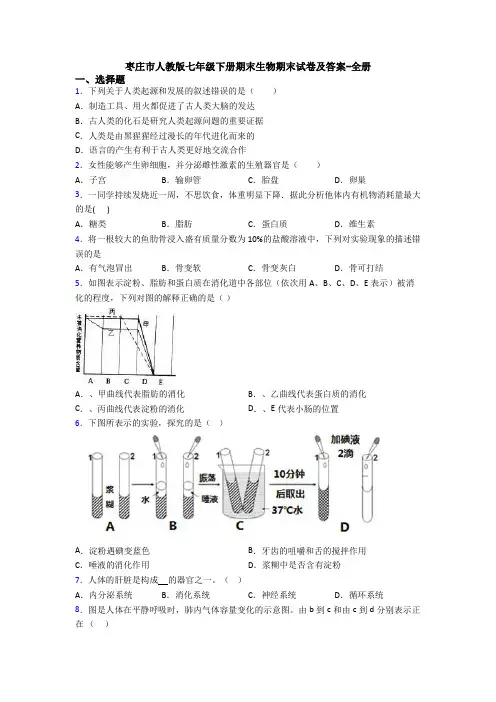枣庄市人教版七年级下册期末生物期末试卷及答案-全册