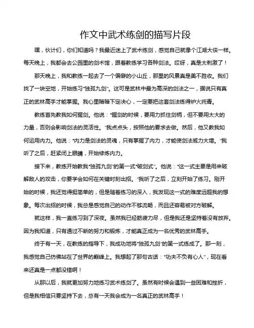 作文中武术练剑的描写片段