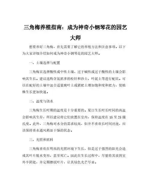 三角梅养殖方法和注意事项大全