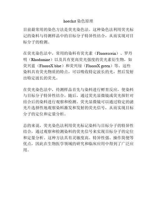 hoechst染色原理