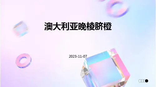 澳大利亚晚棱脐橙