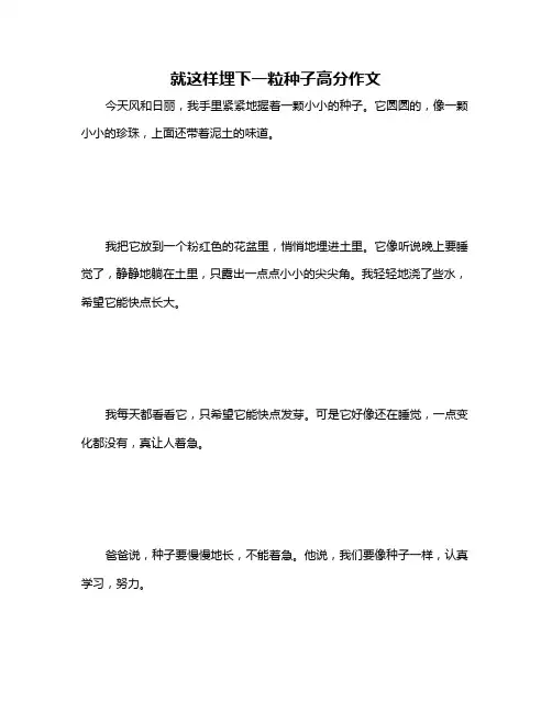 就这样埋下一粒种子高分作文
