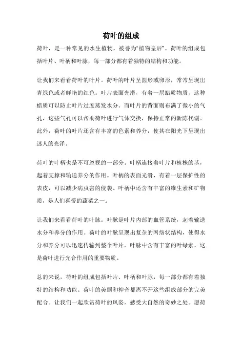 荷叶的组成