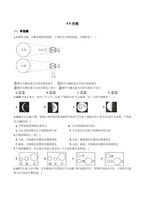 2020-2021学年浙教版科学七年级下册4.4月相(解析版)
