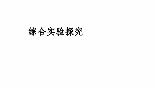 2024届高三化学高考备考一轮复习：综合实验探究课件