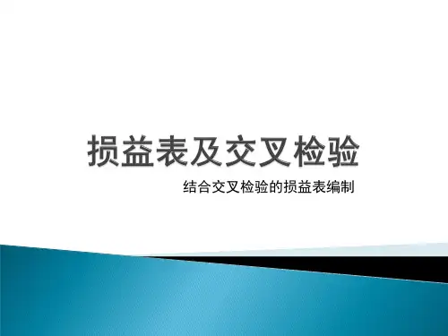 损益表及交叉检验