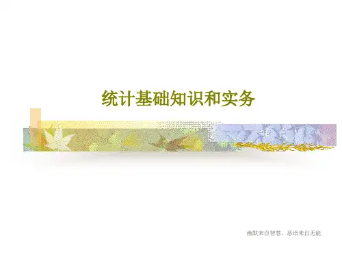 统计基础知识和实务共72页