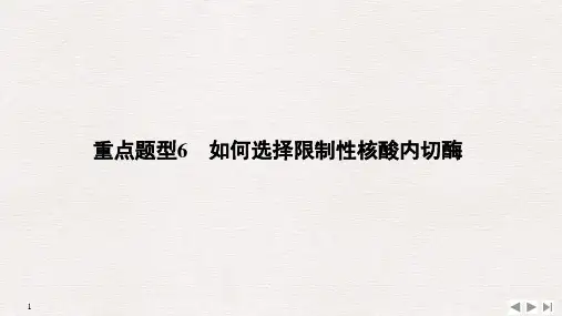 高三生物二轮专题复习 重点题型6  如何选择限制性核酸内切酶