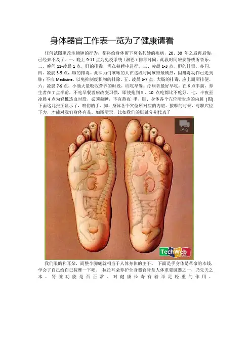 身体器官工作表一览为了健康请看
