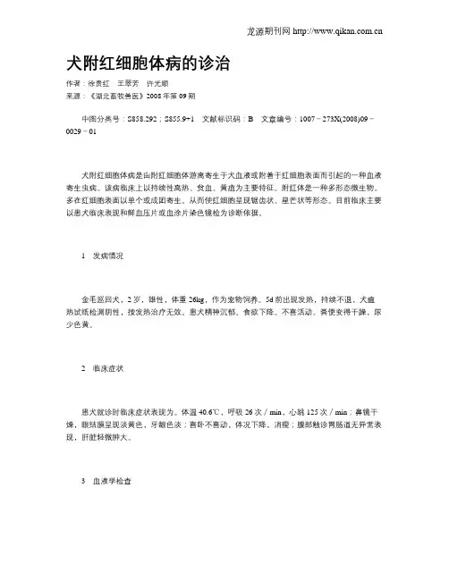 犬附红细胞体病的诊治
